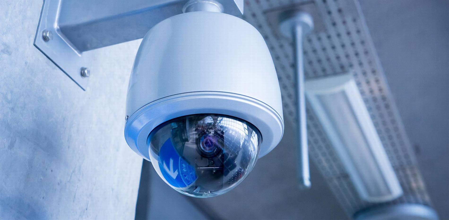 #1 Best Security Camera Company: CAT6 CAT7 CAT8 Network vs Wiring Installer Low Voltage Fiber Optic Fort Myers